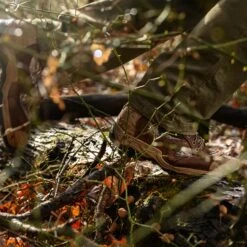 Lacrosse Men's Atlas 8" Soft Toe WP 1200G Ins Hunt Boot- Mossy Oak- 572113 20 Lacrosse Men's Atlas 8" Soft Toe WP 1200G Ins Hunt Boot- Mossy Oak- 572113 -Rocky Store 572113 alt1