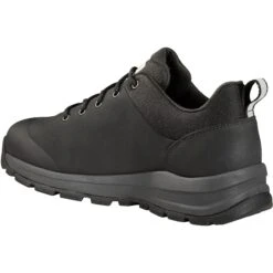 Carhartt Men's Waterproof Outdoor Low Alloy Toe Hiker -Black- FH3521-M -Rocky Store FH3021 M3